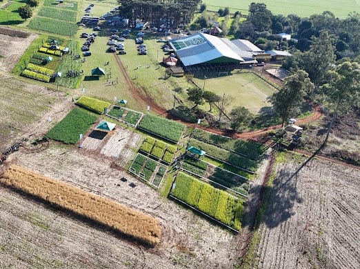 Simposio Latinoamericano de Canola — productores en parcela