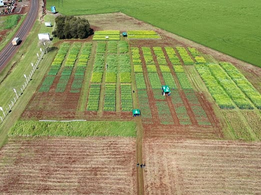 Evaluación de cultivo en el Simposio