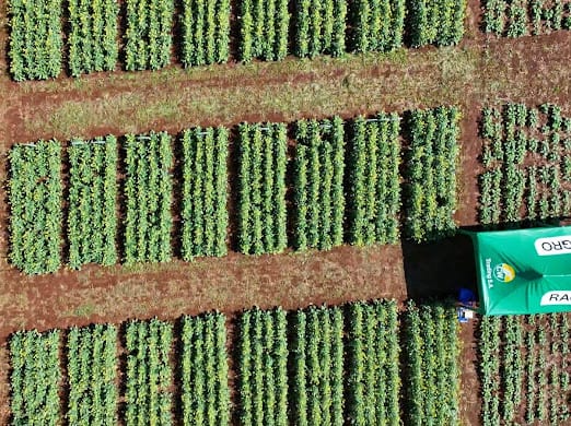 Productores en el Simposio Latinoamericano de Canola